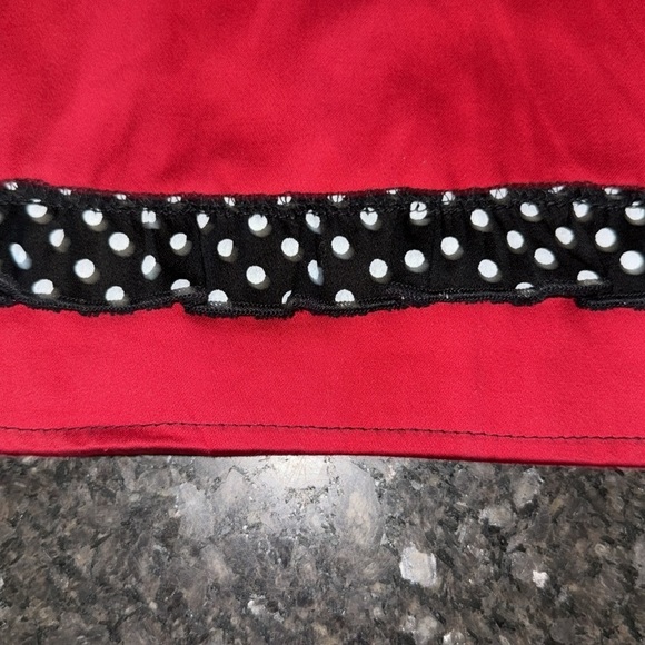 Pinky Pinups Red Polka Dot Trimmed A Line Skirt - Picture 5 of 7